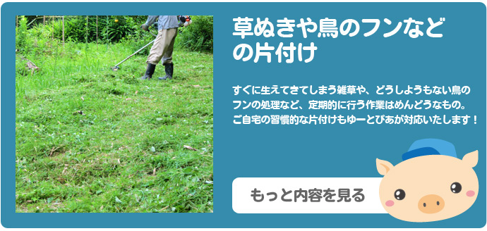 草抜き・鳥のフンなどの掃除